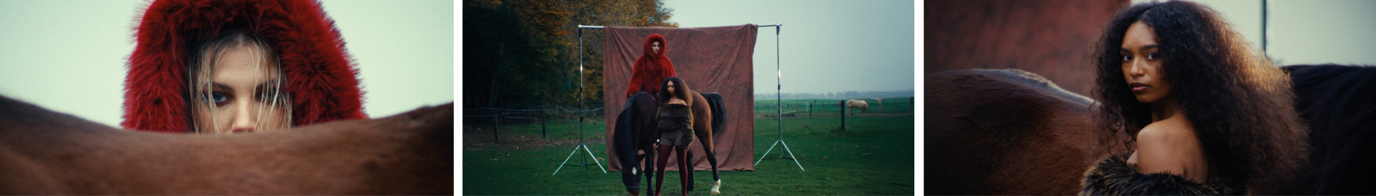 KALTBLUT – MON AMI